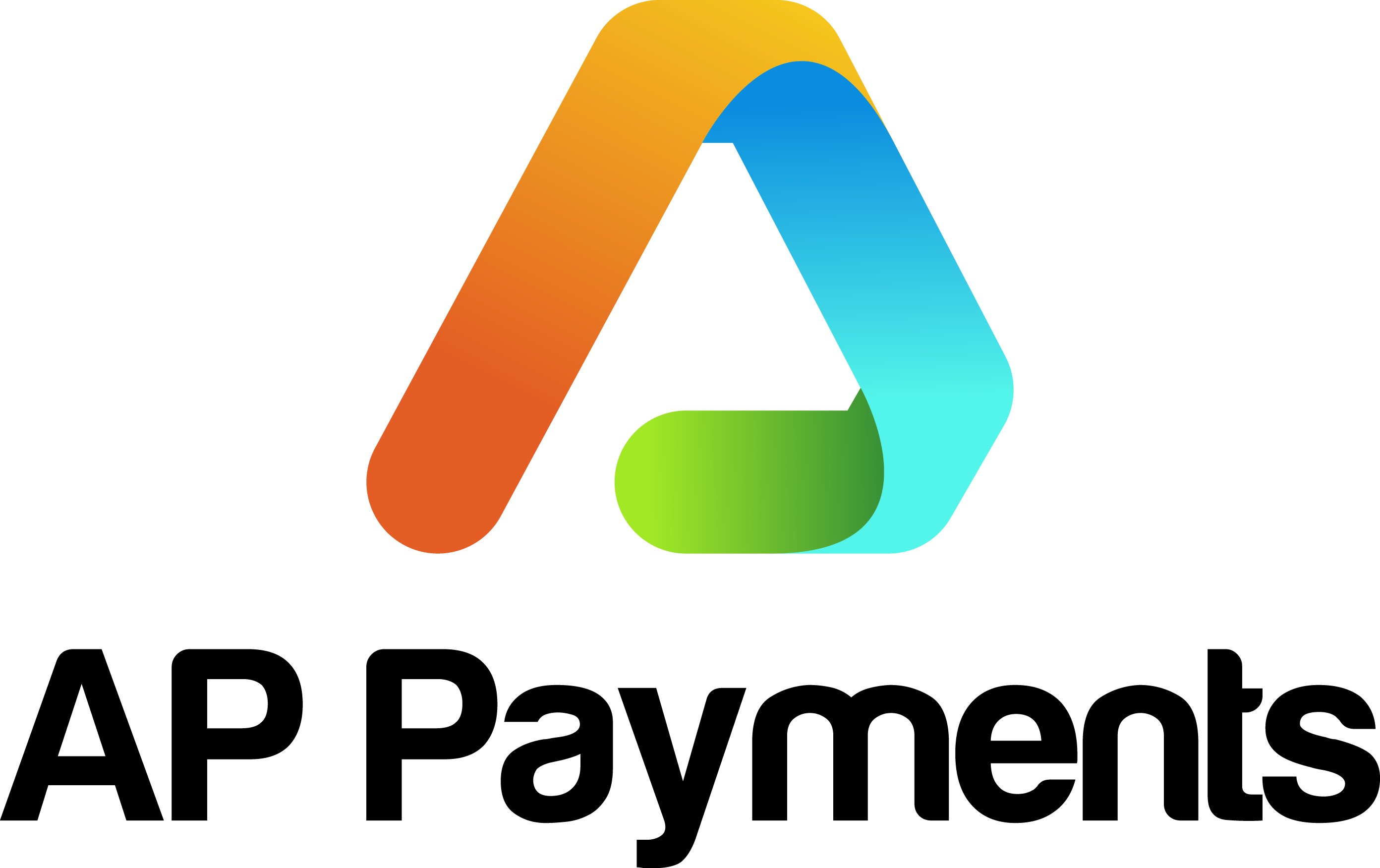 AP Payments